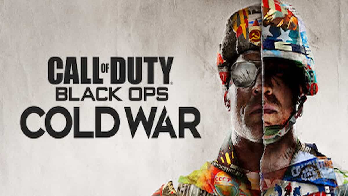 Activision Deals Blow To Black Ops Cold War Hackers WePC