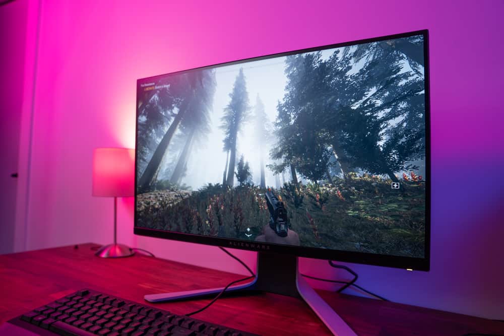 IPS vs Monitor: Different screen technologies explained in
