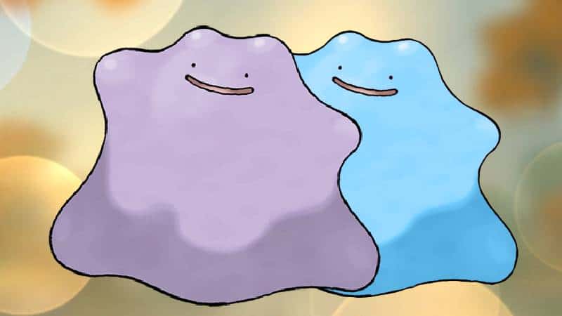 Ditto November 2023, how to find, catch and shiny Ditto odds in Pokémon GO