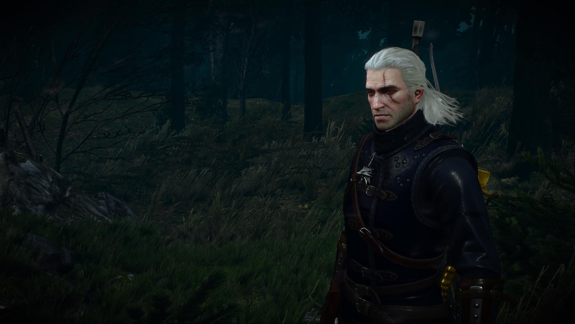 cheat codes the witcher 3 pc