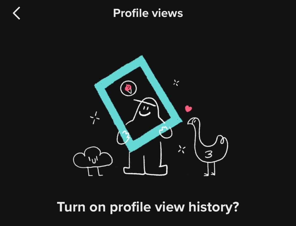 tiktok-update-profile-views
